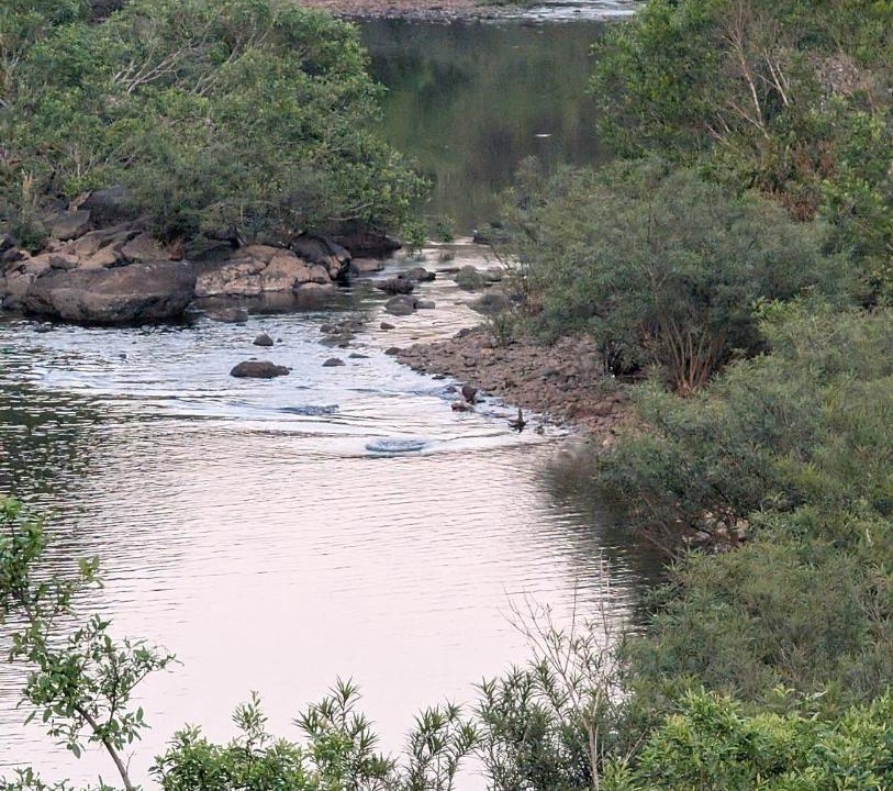 Photo of Others in Chaudi