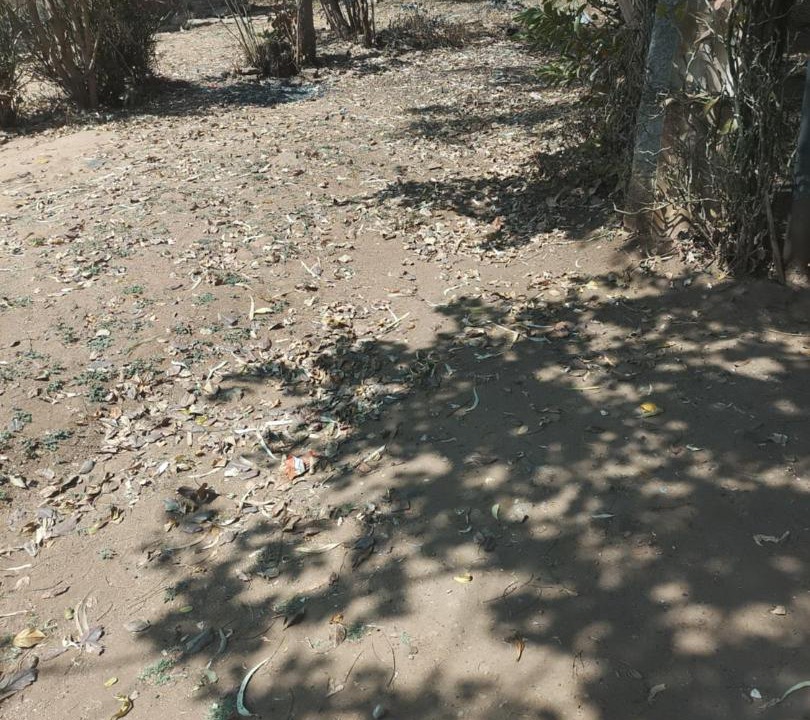 Photo of Others in Kolar Gold Fields