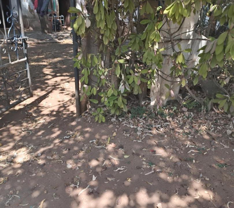 Photo of Others in Kolar Gold Fields