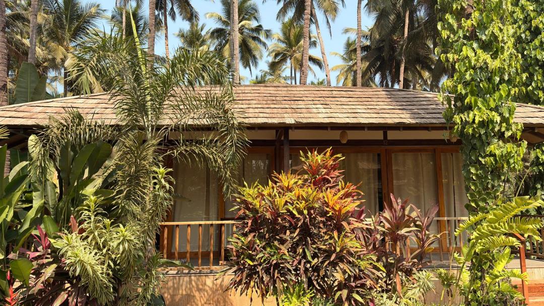Photo of Others in Palolem