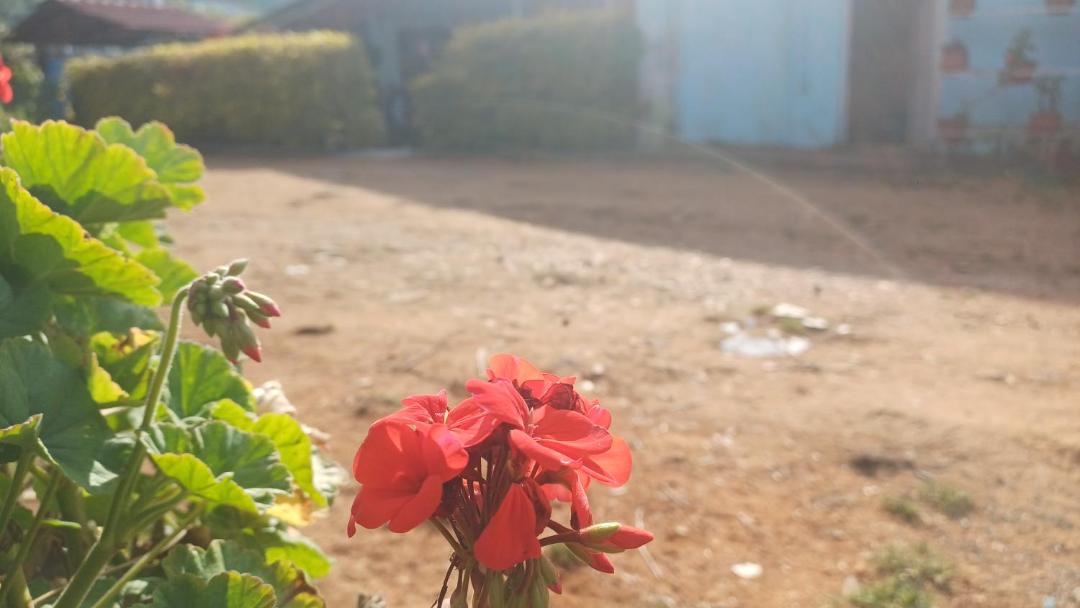 Photo of Others in Ooty