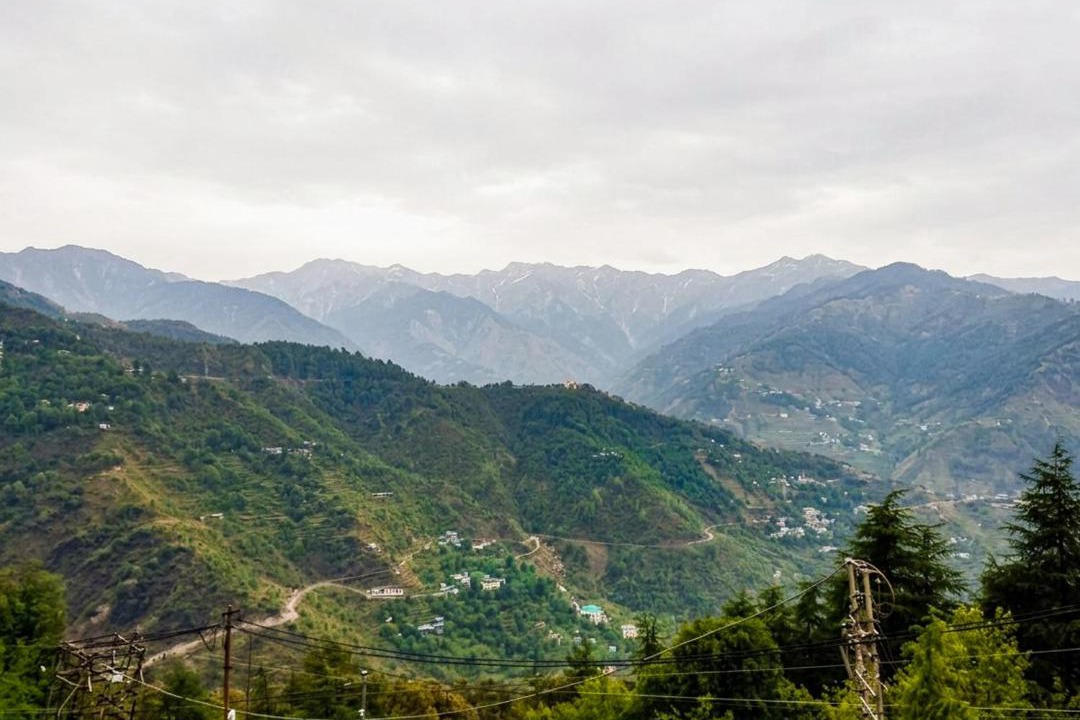 Photo of Others in McLeod Ganj