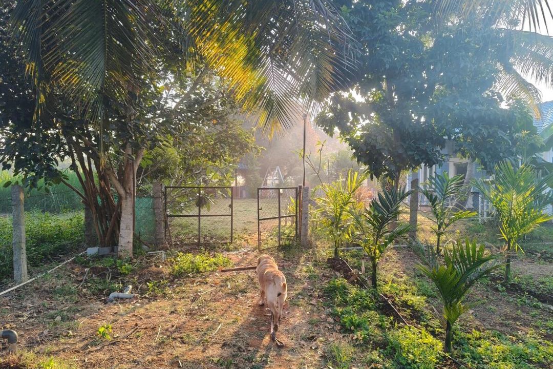 Photo of Others in Belakavadi