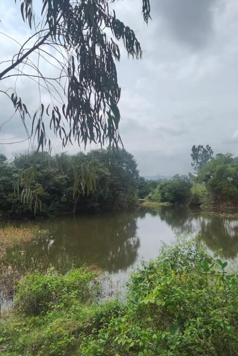 Photo of Others in Kanakapura