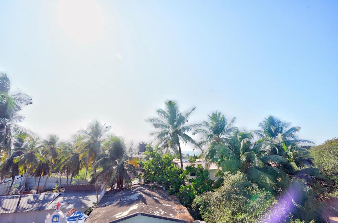 Photo of Others in Calangute
