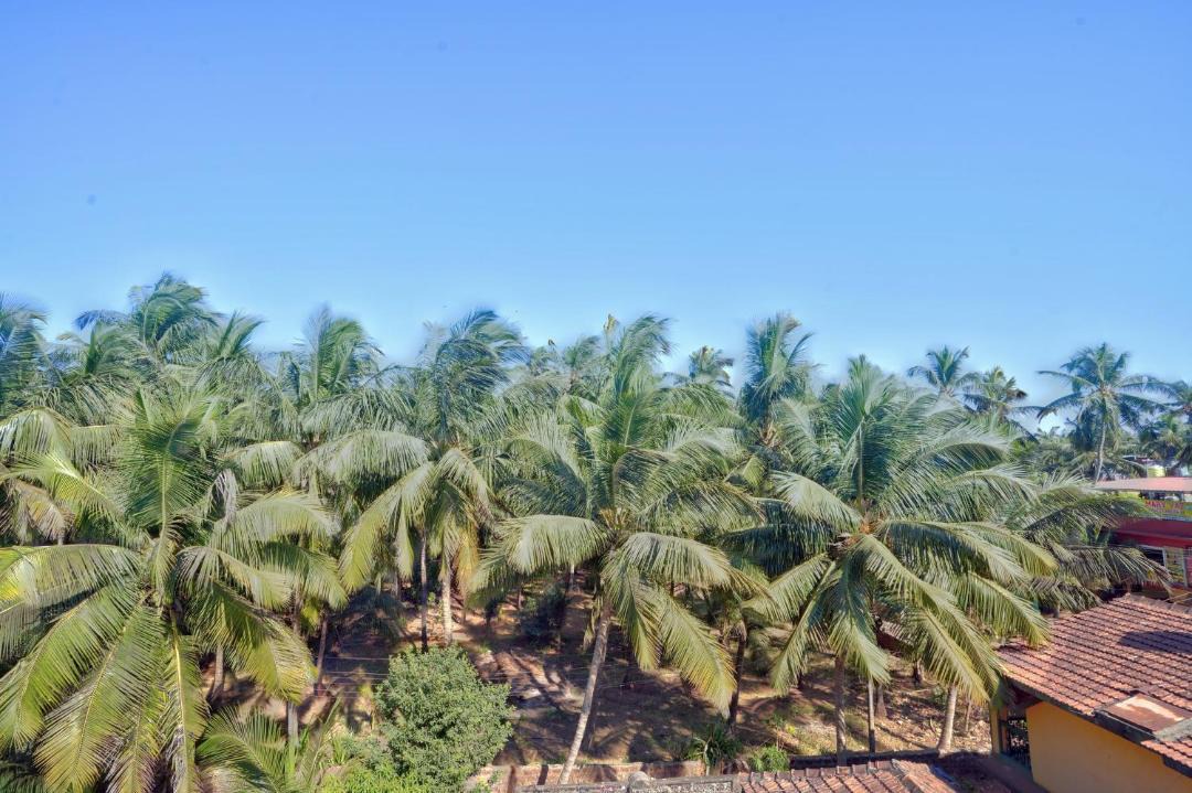Photo of Others in Calangute