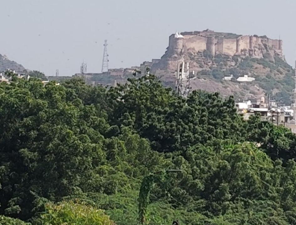 Photo of Buildings in Jodhpur