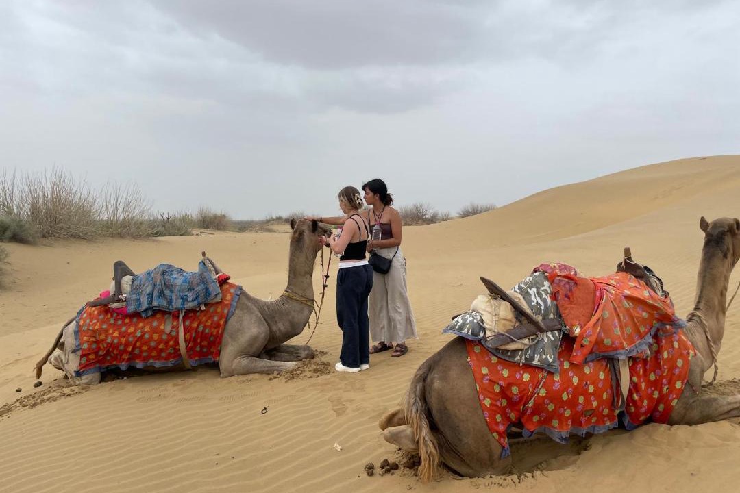 Photo of Others in Kanoi