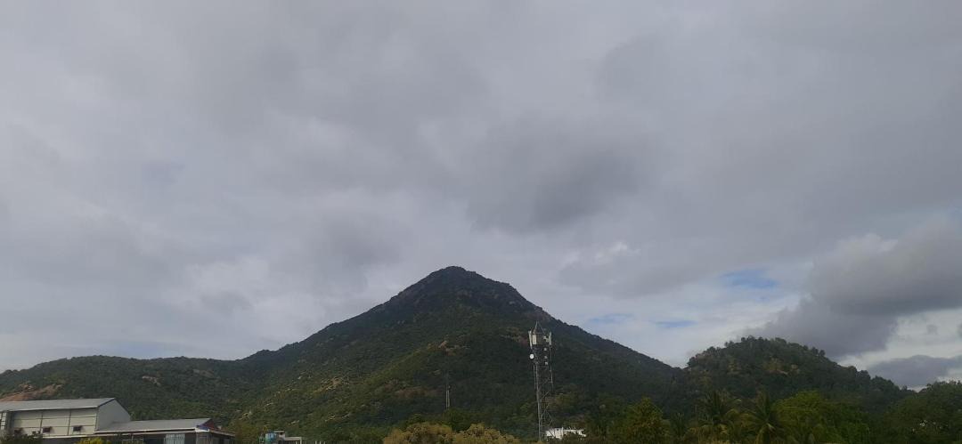 Photo of Others in Tiruvannamalai