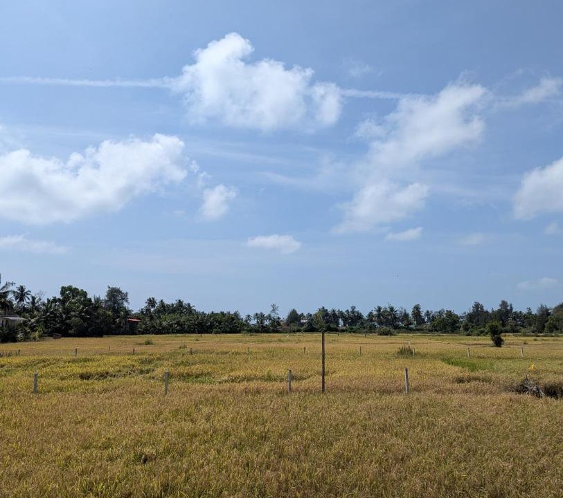 Photo of Others in Hireguthi