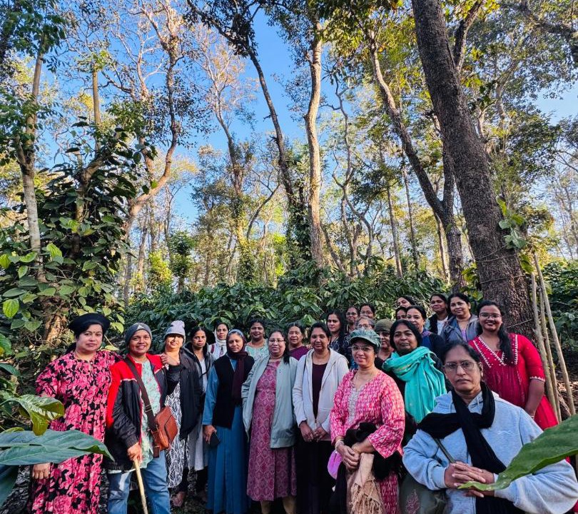 Photo of Others in Madapura