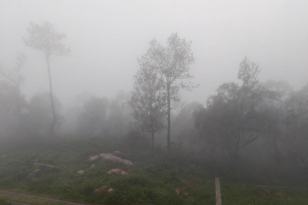 Photo of Others in Yercaud