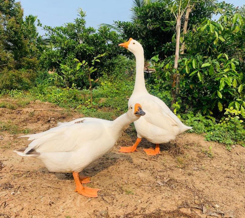 Photo of Others in Aranthangi