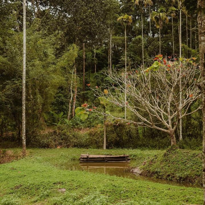 Photo of Others in Kalpetta