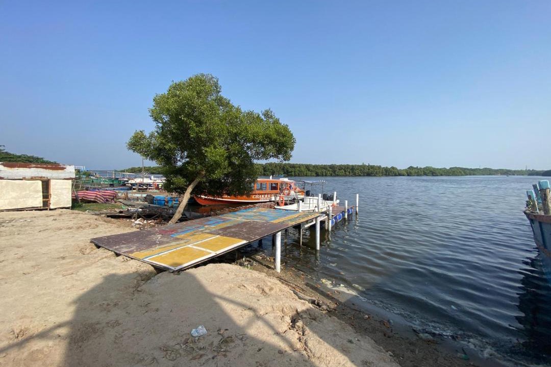 Photo of Others in Kalapettai