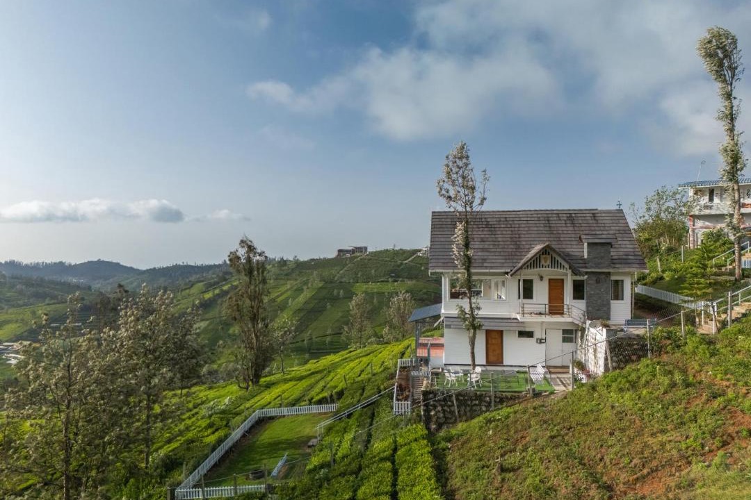 Photo of Others in Ooty