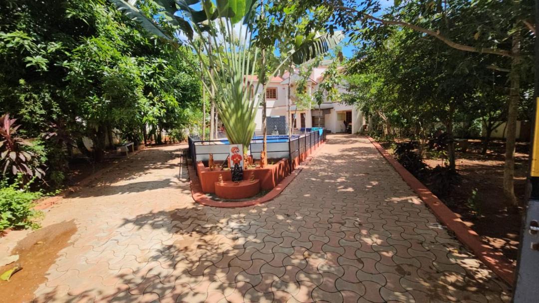 Photo of Others in Auroville