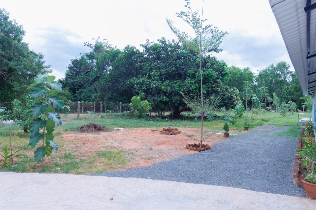 Photo of Outdoor in Bommayapalayam