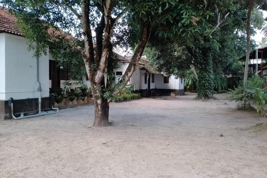 Photo of Others in Sea View Ward