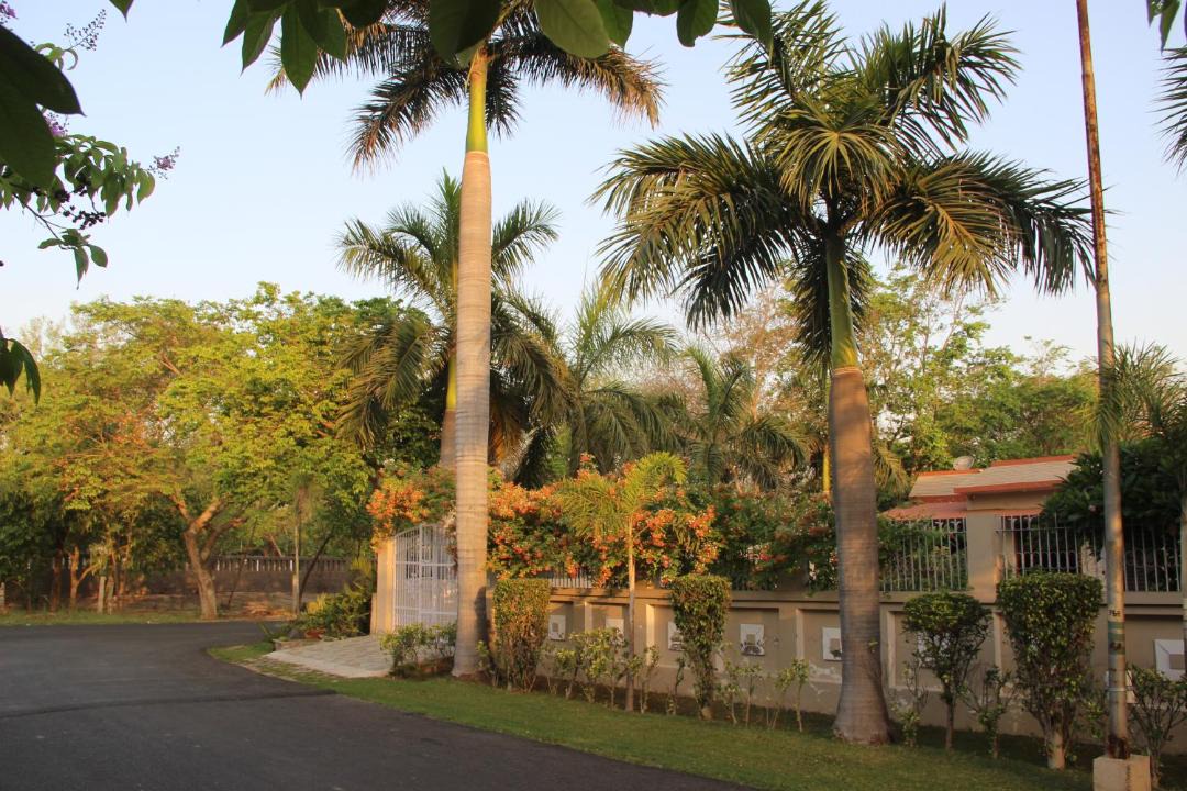 Photo of Others in Greater Noida