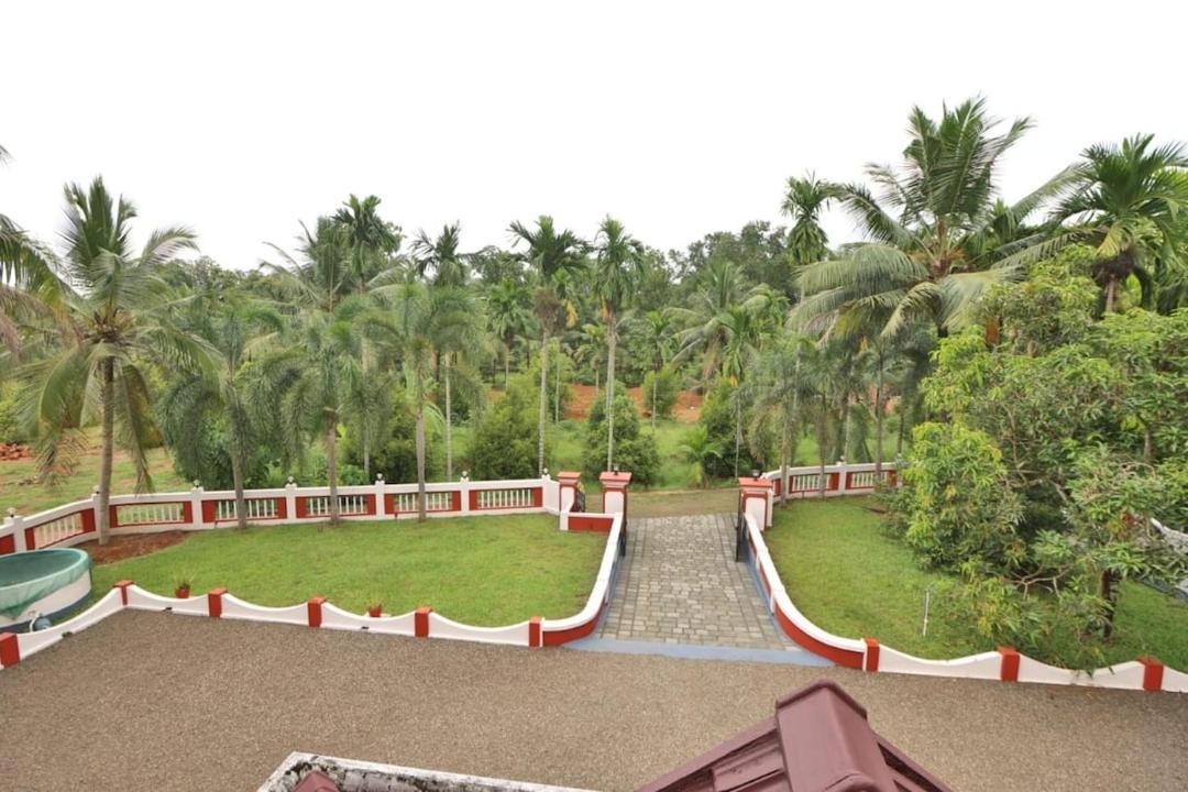 Photo of Others in Kuttattukulam