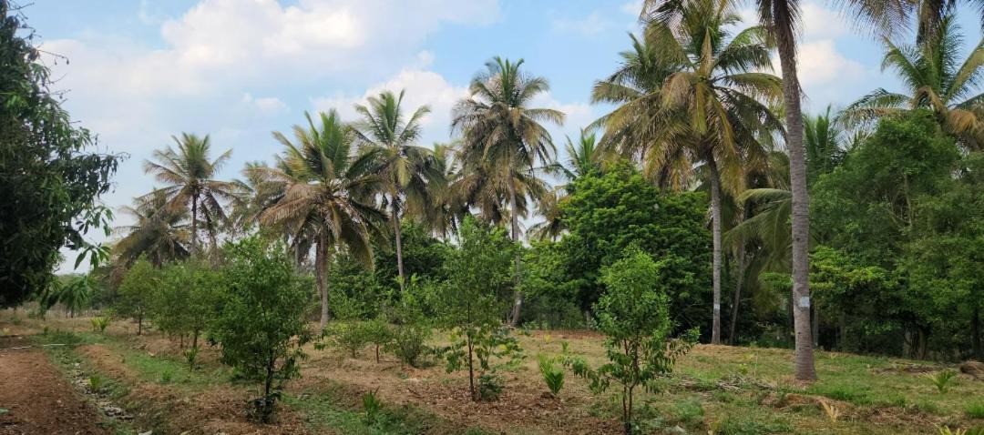 Photo of Others in Kanakapura