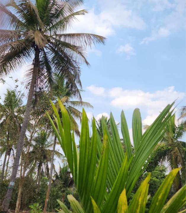 Photo of Others in Kanakapura