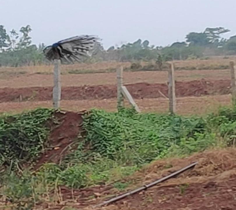 Photo of Others in Doddaballapur