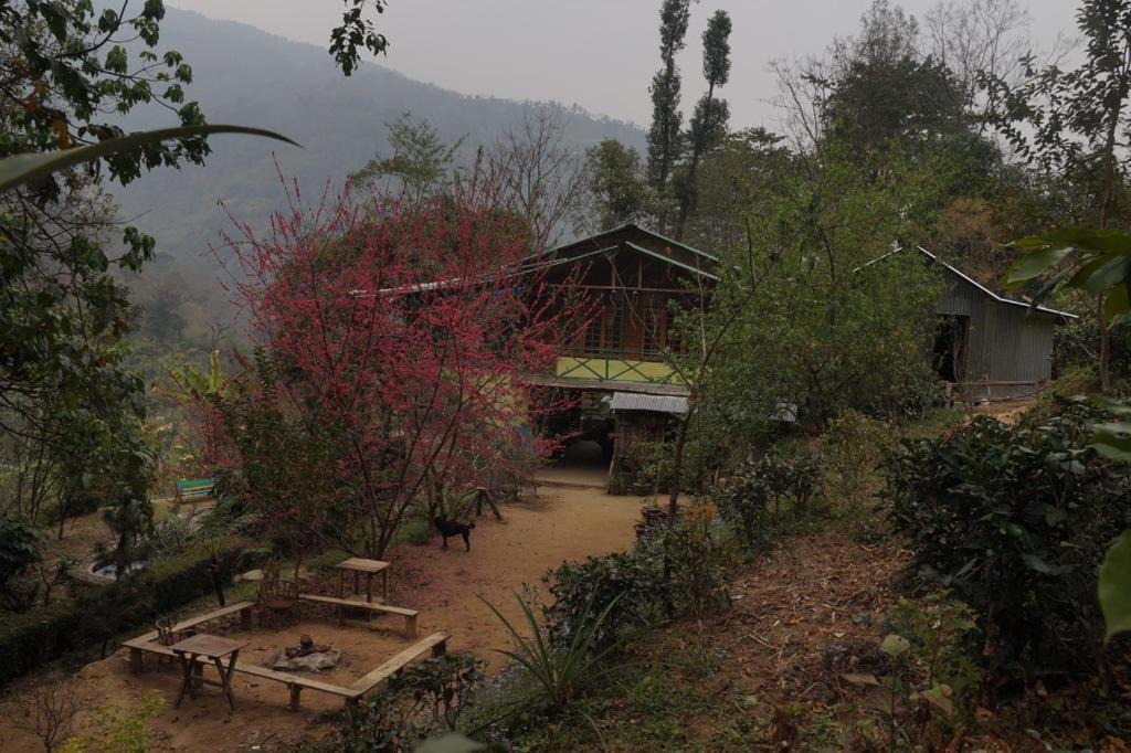 Photo of Others in Lebong and Mineral Spring Tea Garden