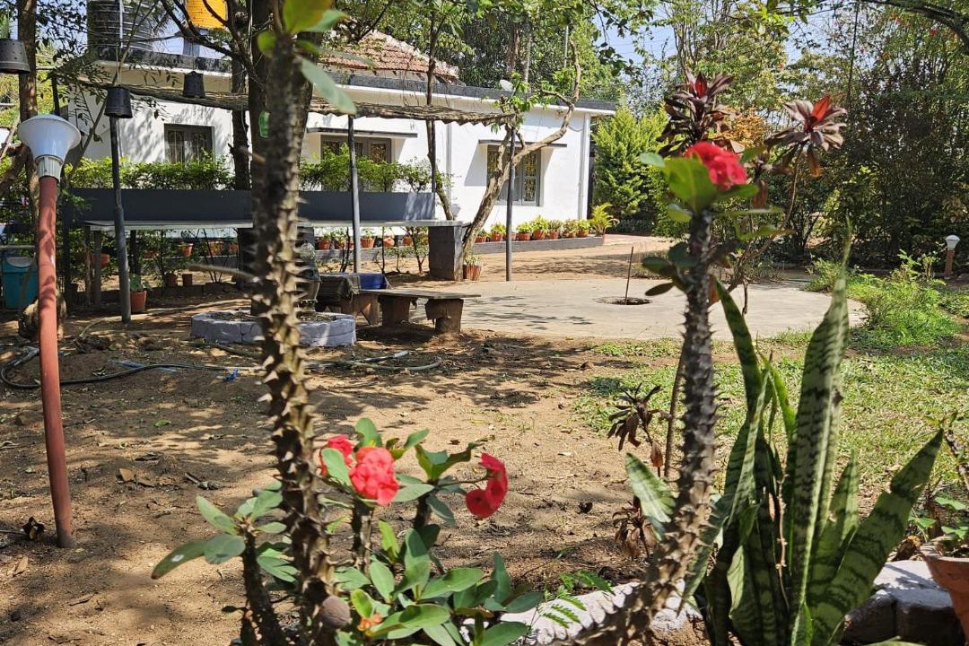 Photo of Others in Piriyapatna