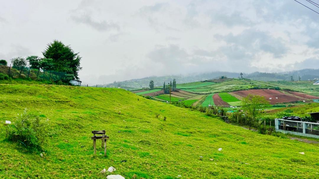 Photo of Others in Ooty