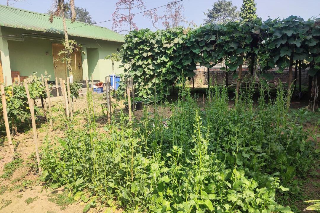 Photo of Others in Guwahati