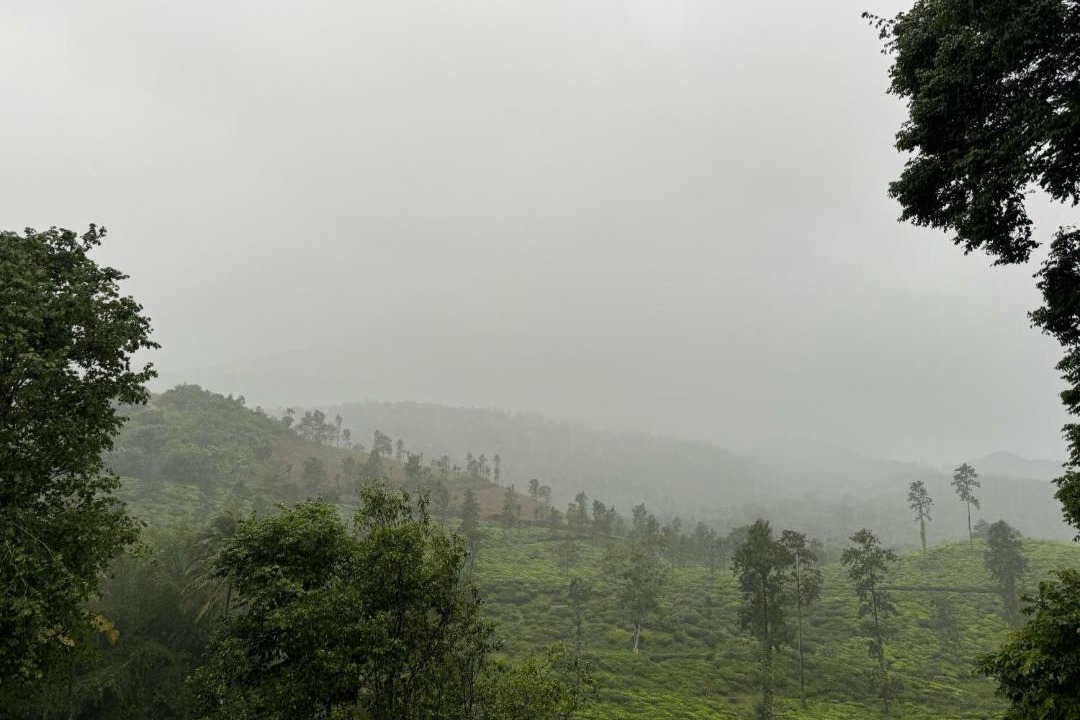 Photo of Others in Kottappadi part