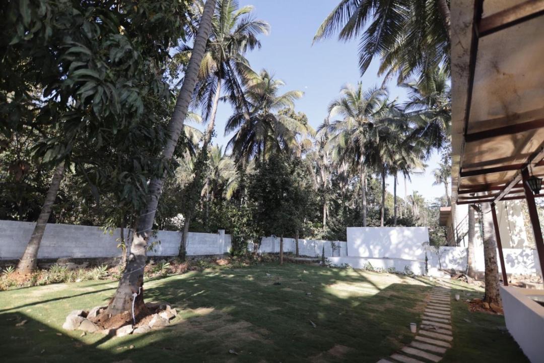 Photo of Others in Manchanabele