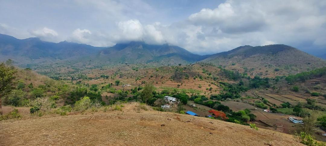 Photo of Others in Mannarkkad