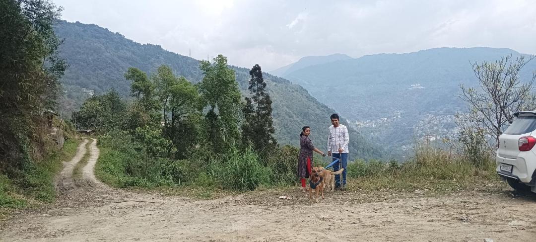 Photo of Others in Gangtok