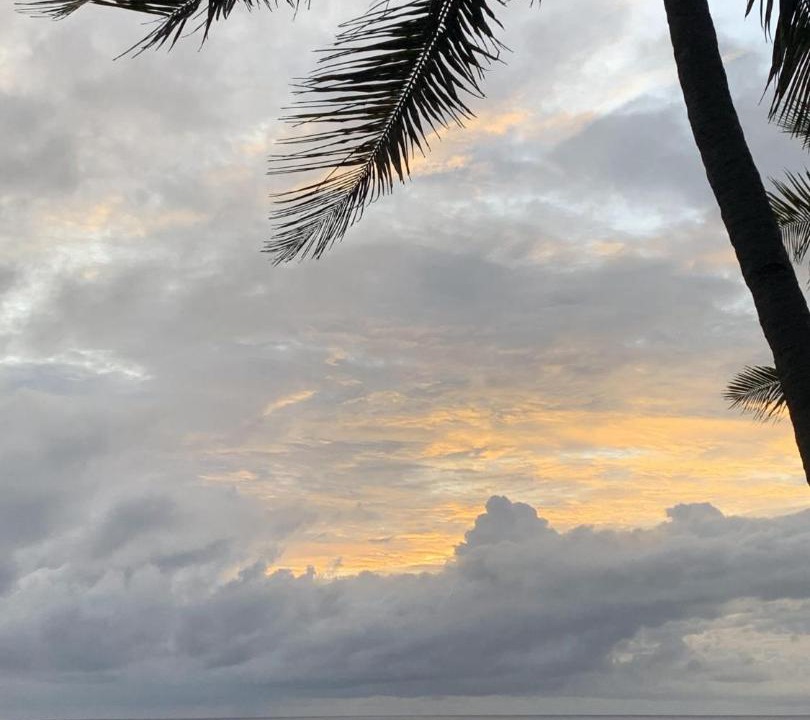 Photo of Others in Varkala