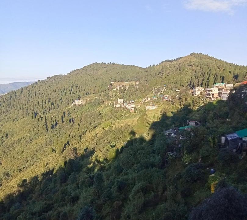 Photo of Others in Darjeeling