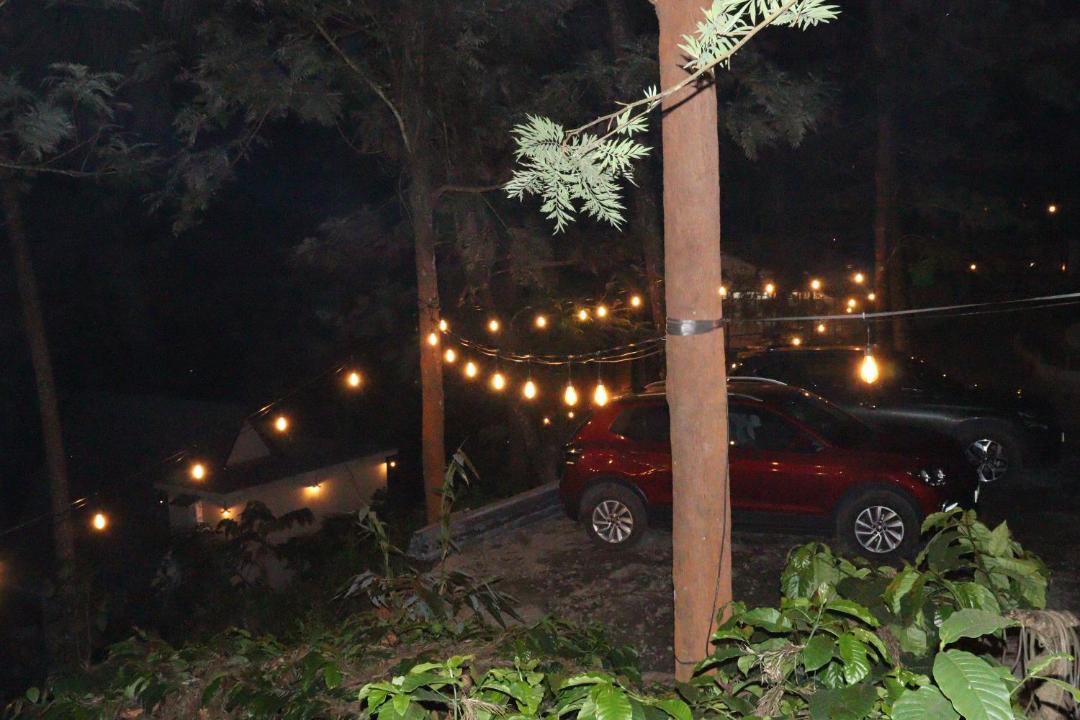 Photo of Others in Kalpetta