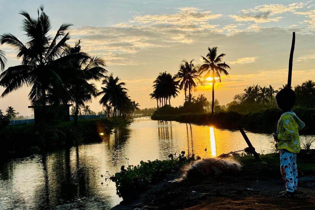 Photo of Others in Kochi