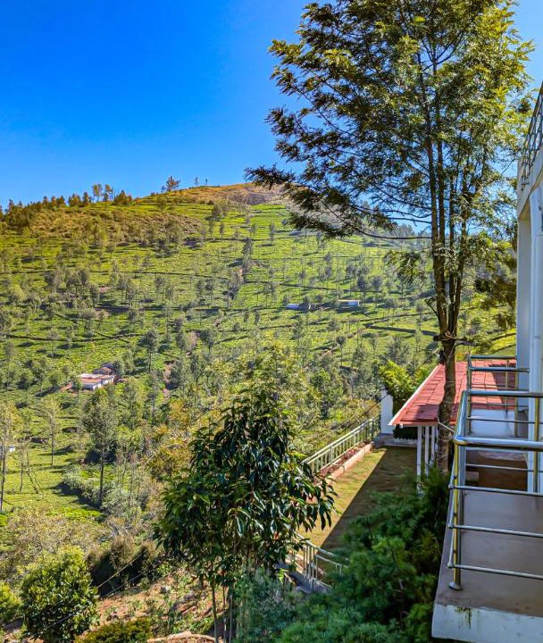 Photo of Others in Kotagiri