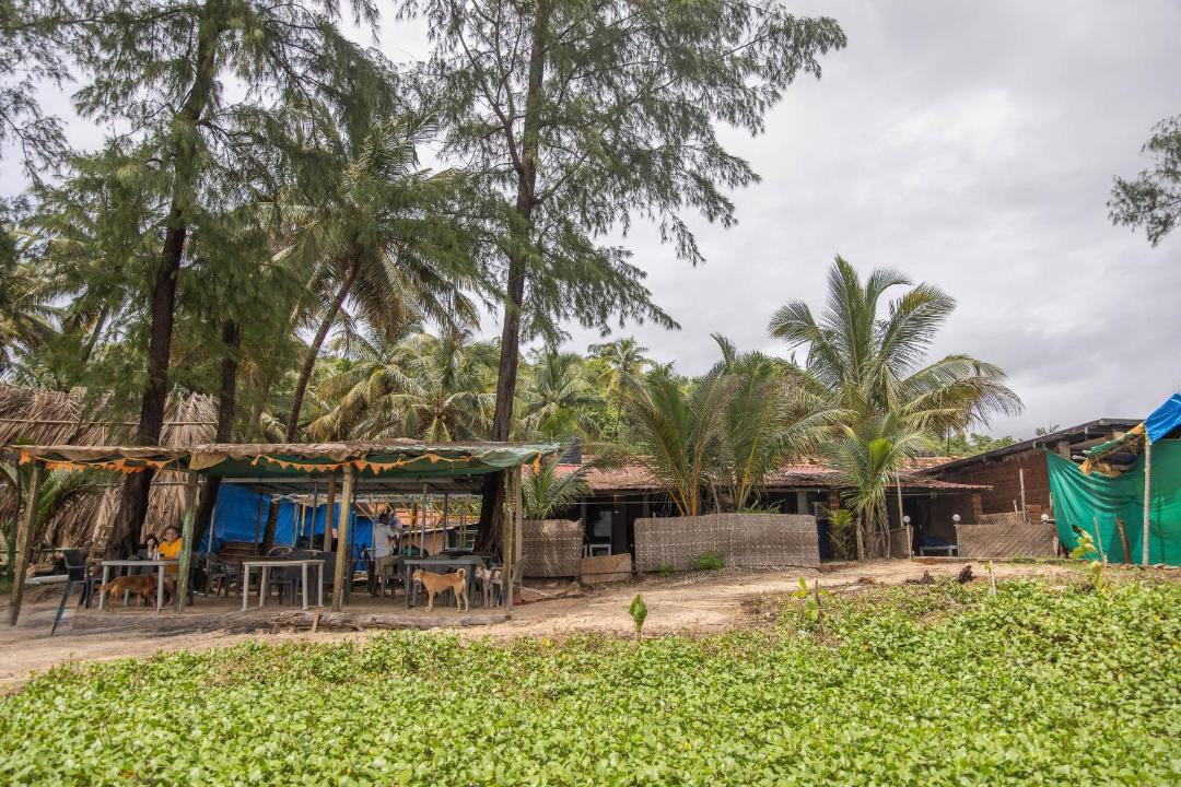 Photo of Others in Canacona