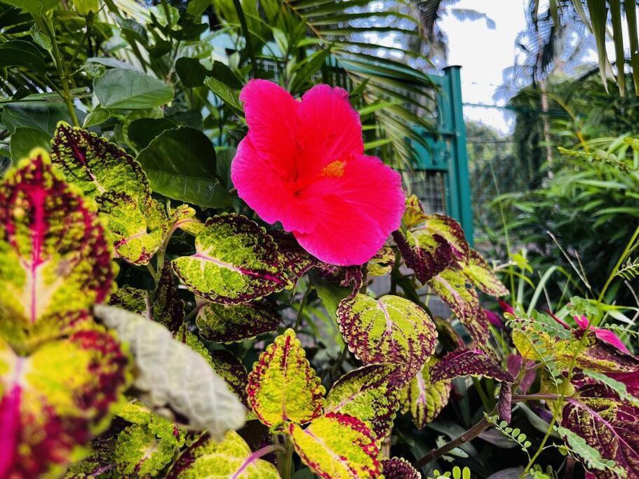 Photo of Outdoor in Mumbai