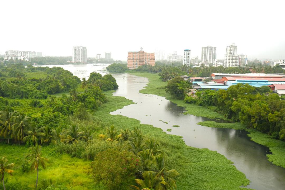 Photo of Others in Maradu