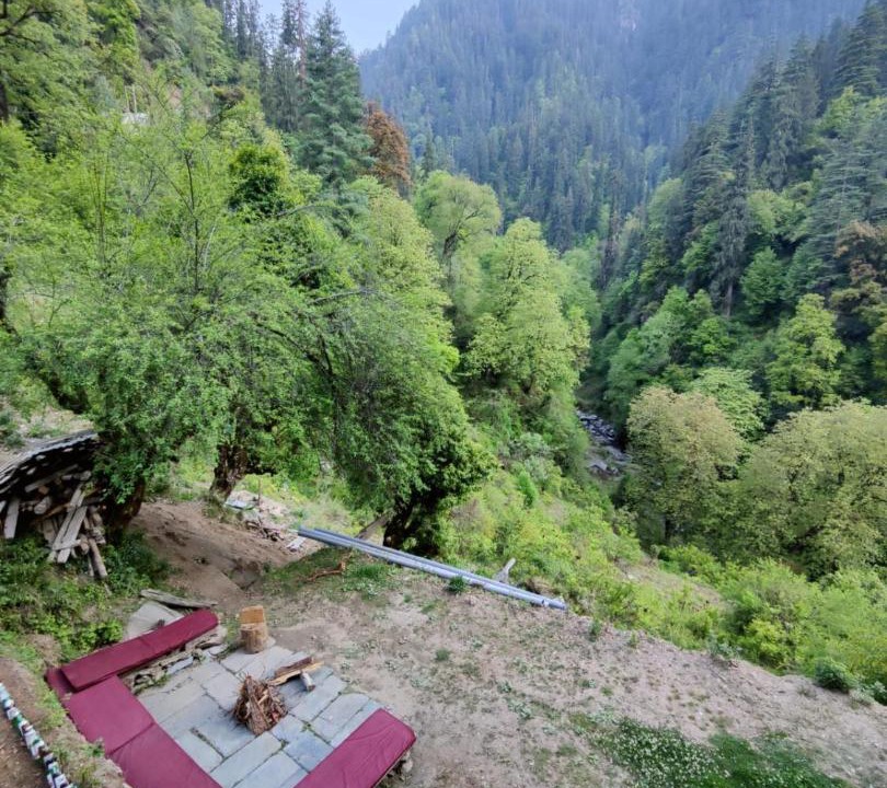 Photo of Others in Shoja