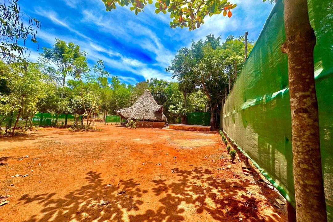 Photo of Others in Auroville