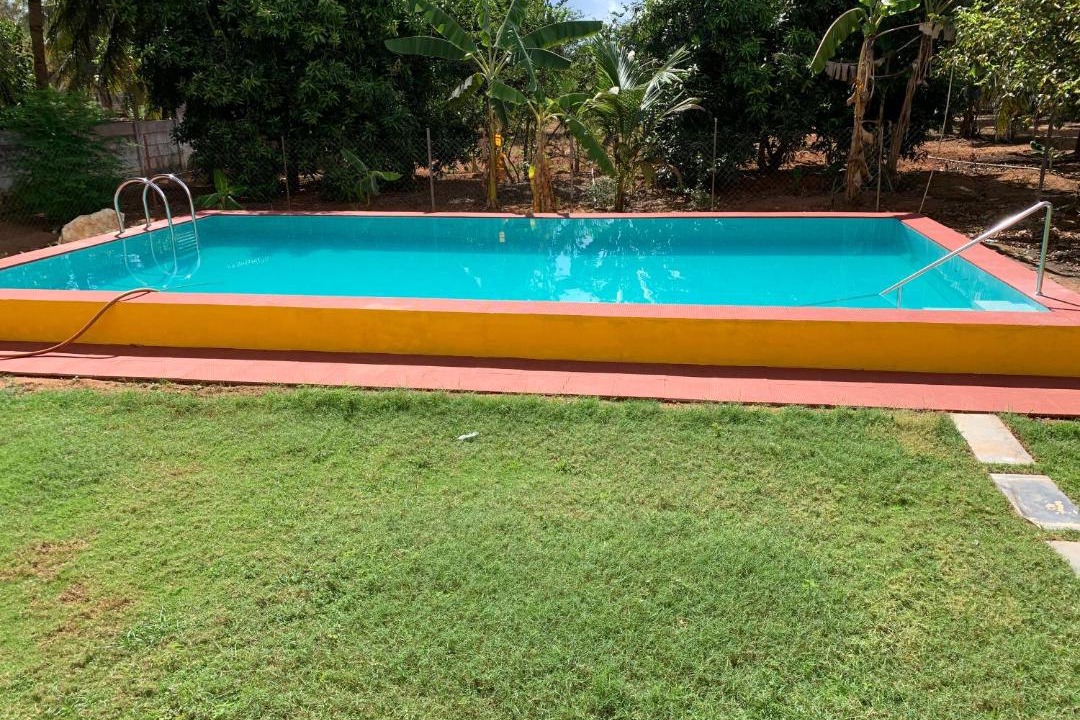 Photo of Others in Mandavi