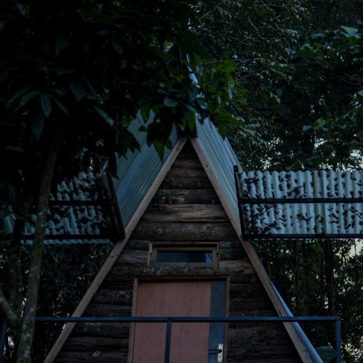 Photo of Others in Lebong and Mineral Spring Tea Garden