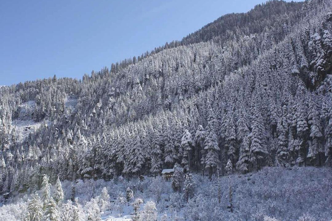 Photo of Others in Old Manali