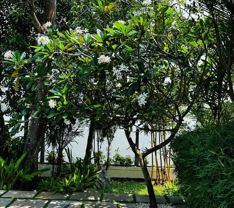 Photo of Others in Kuzhuppilly